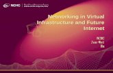 Networking in Virtual Infrastructure and Future Internet