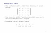Random Matrix Theory - North Carolina State University