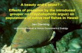 A beauty and a beast? â€“ Effects of predation by the