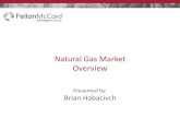 Natural Gas Market Overview - Michigan Municipal League