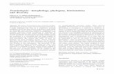 Pestalotiopsis morphology, phylogeny, biochemistry and diversity