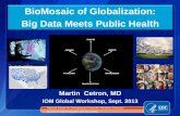 BioMosaic of Globalization: Big Data Meets Public Health