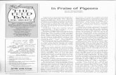 In Praise of Pigeons - TDL