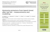 Ammonia emissions from beech forest after leaf fall