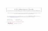 CN E-Business Capabilities Final