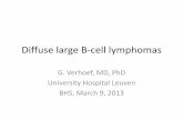 Diffuse large B-cell lymphomas - BHS