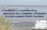 Constraints to implementing sea-level rise mitigation ...