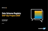 Data Schema Registry SAP iXpProject 2020