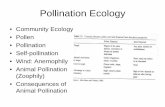 Pollination Ecology - WOU
