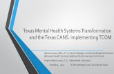 Texas Mental Health Systems Transformation and the Texas ...