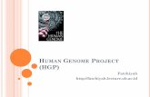 Human Genome Project (HGP) - UB