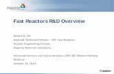 Fast Reactors R&D Overview