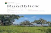 Rundblick - Rorschacherberg Online