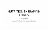 Nutrition Therapy in citrus - University of Florida