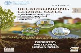 VOLUME 6 RECARBONIZING GLOBAL SOILS - repository.usp.ac.fj