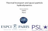 Thermal transport and quasi-particle hydrodynamics