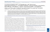 Computational modeling of human paraoxonase 1: preparation ...