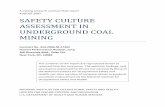 Safety Culture Assessment in Underground Coal Mining