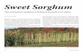 Sweet Sorghum - Rural Heritage Magazine