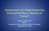 Assessment of a Ring Enhancing Intracranial Mass: Abscess or