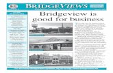 January 2011 Bridgeview is