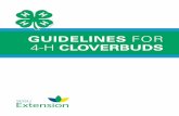 Guidelines for 4-H Cloverbuds (766 KB) Download - iGrow