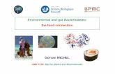 Environmental and gut Bacteroidetes - Centre national de la