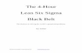 The 4-Hour Lean Six Sigma Black Belt - QI Macros