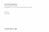 Oracle Database Quick Installation Guide 10g Release 2 (10.2) for