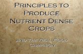 Principles to Produce Nutrient Dense Crops - Bionutrient Food