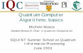 Quantum Computer Algorithms: basics - SQuInT