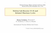 Molten-Salt Reactor FUJI and Related Thorium Cycles