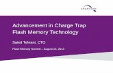 Advancement in Charge Trap Flash Memory Technology