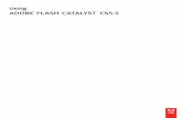 Using Flash Catalyst - Adobe
