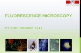 fluorescence microscopy - BioImaging and Optics platform (PTBIOP)