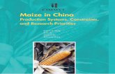 Maize in China: Production Systems, Constraints - AgEcon Search