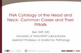 FNA Cytology of the Head and Neck: Common - University of Utah