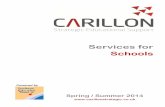 Services for Schools - Carillon
