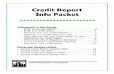 Credit Report Info Packet - NEDAP