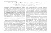 IEEE TRANSACTIONS ON IMAGE PROCESSING 1 Directional Multiscale