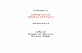 Introduction to: Modelling Molecular Interactions and Dynamics Bioinformatics II M. Meuwly