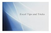 Excel Tips and Tricks - MIT