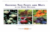 Growing Tree Fruits and Nuts in the Home Orchard - Oregon State