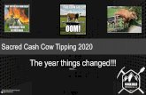 Sacred Cash Cow Tipping 2020 -