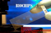 BIOCHIPS -