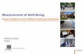 Well-being (Part B) - e-Frame European Framework for Measuring