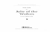 Julie of the Wolves Study Guide - Glencoe