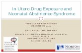 Neonatal Abstinence Syndrome PDF Version of Slides
