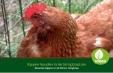 kippen houden in de kringlooptuin (pdf, 2,04 MB) - Ivago