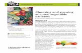 Choosing and growing adapted vegetable varieties - University of
